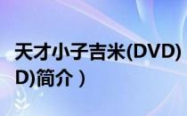 天才小子吉米(DVD)（关于天才小子吉米(DVD)简介）