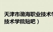 天津市渤海职业技术学院贴吧（天津渤海职业技术学院贴吧）