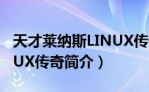 天才莱纳斯LINUX传奇（关于天才莱纳斯LINUX传奇简介）