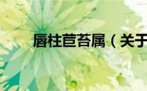 唇柱苣苔属（关于唇柱苣苔属介绍）