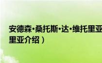 安德森·桑托斯·达·维托里亚（关于安德森·桑托斯·达·维托里亚介绍）