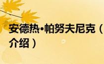 安德热·帕努夫尼克（关于安德热·帕努夫尼克介绍）