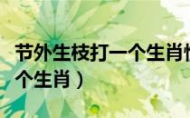 节外生枝打一个生肖惯子害子（节外生枝打一个生肖）