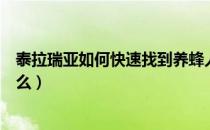 泰拉瑞亚如何快速找到养蜂人（泰拉瑞亚养蜂人可以合成什么）