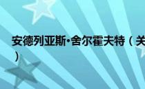 安德列亚斯·舍尔霍夫特（关于安德列亚斯·舍尔霍夫特介绍）