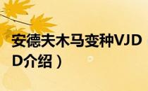 安德夫木马变种VJD（关于安德夫木马变种VJD介绍）