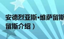 安德烈亚斯·维萨留斯（关于安德烈亚斯·维萨留斯介绍）