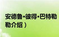 安德鲁·彼得·巴特勒（关于安德鲁·彼得·巴特勒介绍）