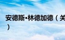 安德斯·林德加德（关于安德斯·林德加德介绍）