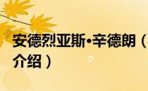 安德烈亚斯·辛德朗（关于安德烈亚斯·辛德朗介绍）