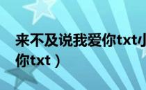 来不及说我爱你txt小说下载（来不及说我爱你txt）