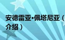 安德雷亚·佩塔尼亚（关于安德雷亚·佩塔尼亚介绍）