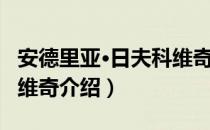 安德里亚·日夫科维奇（关于安德里亚·日夫科维奇介绍）