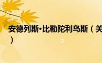 安德列斯·比勒陀利乌斯（关于安德列斯·比勒陀利乌斯介绍）