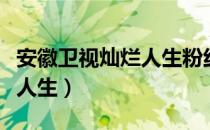 安徽卫视灿烂人生粉红色口红（安徽卫视灿烂人生）