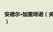 安德尔·加里塔诺（关于安德尔·加里塔诺介绍）