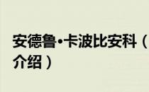 安德鲁·卡波比安科（关于安德鲁·卡波比安科介绍）