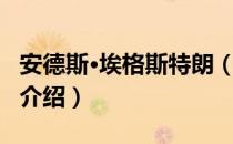 安德斯·埃格斯特朗（关于安德斯·埃格斯特朗介绍）