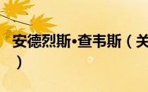 安德烈斯·查韦斯（关于安德烈斯·查韦斯介绍）