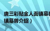 唐三彩贴金人面镇墓兽（关于唐三彩贴金人面镇墓兽介绍）