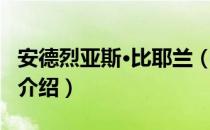 安德烈亚斯·比耶兰（关于安德烈亚斯·比耶兰介绍）