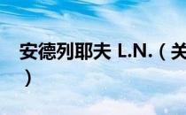 安德列耶夫 L.N.（关于安德列耶夫 L.N.介绍）