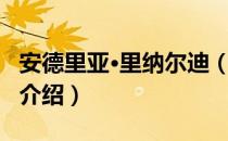 安德里亚·里纳尔迪（关于安德里亚·里纳尔迪介绍）