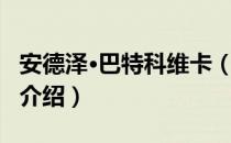 安德泽·巴特科维卡（关于安德泽·巴特科维卡介绍）