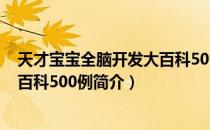 天才宝宝全脑开发大百科500例（关于天才宝宝全脑开发大百科500例简介）