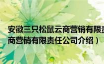 安徽三只松鼠云商营销有限责任公司（关于安徽三只松鼠云商营销有限责任公司介绍）