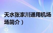 天水张家川通用机场（关于天水张家川通用机场简介）