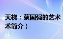 天梯：蔡国强的艺术（关于天梯：蔡国强的艺术简介）