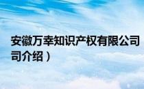 安徽万幸知识产权有限公司（关于安徽万幸知识产权有限公司介绍）