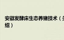 安徽发酵床生态养猪技术（关于安徽发酵床生态养猪技术介绍）