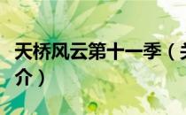 天桥风云第十一季（关于天桥风云第十一季简介）