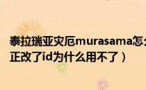 泰拉瑞亚灾厄murasama怎么用不了（泰拉瑞亚灾厄鬼妖村正改了id为什么用不了）