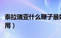 泰拉瑞亚什么鞭子最好（泰拉瑞亚鞭子有什么用）