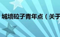 城墙砬子青年点（关于城墙砬子青年点简介）