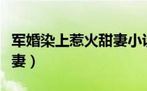 军婚染上惹火甜妻小说免费阅读（染上惹火甜妻）