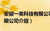 安徽一美科技有限公司（关于安徽一美科技有限公司介绍）