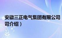 安徽三正电气集团有限公司（关于安徽三正电气集团有限公司介绍）