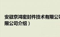 安徽京鸿密封件技术有限公司（关于安徽京鸿密封件技术有限公司介绍）