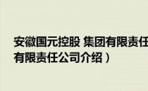 安徽国元控股 集团有限责任公司（关于安徽国元控股 集团有限责任公司介绍）