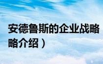 安德鲁斯的企业战略（关于安德鲁斯的企业战略介绍）