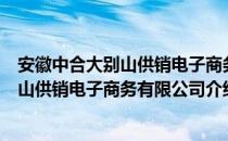 安徽中合大别山供销电子商务有限公司（关于安徽中合大别山供销电子商务有限公司介绍）