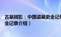 古墓贼影：中国盗墓史全记录（关于古墓贼影：中国盗墓史全记录介绍）