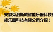 安徽克洛斯威智能乐器科技有限公司（关于安徽克洛斯威智能乐器科技有限公司介绍）