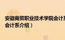 安徽商贸职业技术学院会计系（关于安徽商贸职业技术学院会计系介绍）