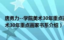 唐勇力--学院美术30年重点画家书系（关于唐勇力--学院美术30年重点画家书系介绍）