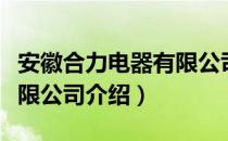 安徽合力电器有限公司（关于安徽合力电器有限公司介绍）